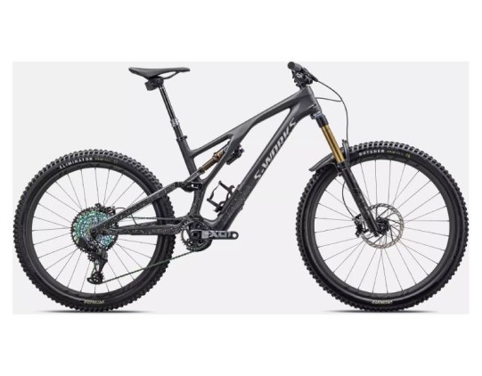 Stumpjumper Evo S-Works